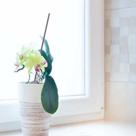 Affittacamere Kobarid Rooms Kobarid