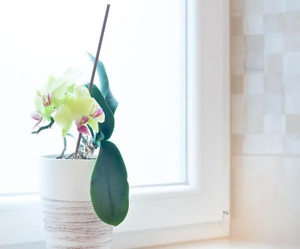 Gæstehus Kobarid Rooms Kobarid