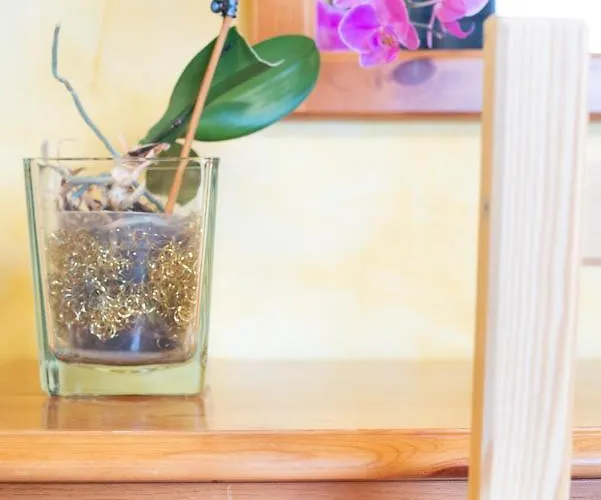 Gæstehus Kobarid Rooms Kobarid