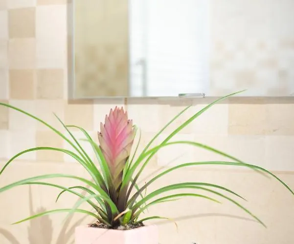 Gæstehus Kobarid Rooms 3*